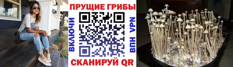 Галлюциногенные грибы мухоморы  площадка Telegram  Кудымкар 